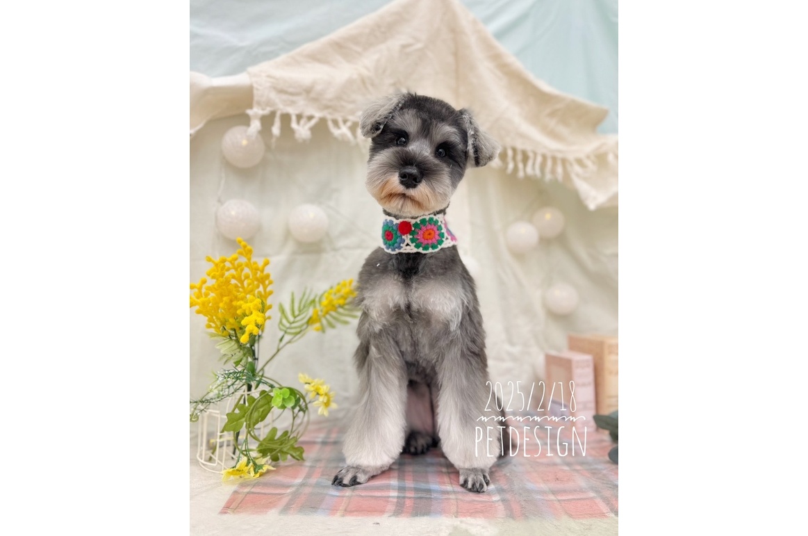 三光店 えまちゃん | PET DESIGN 三光店 | アルバム | PET DESIGN