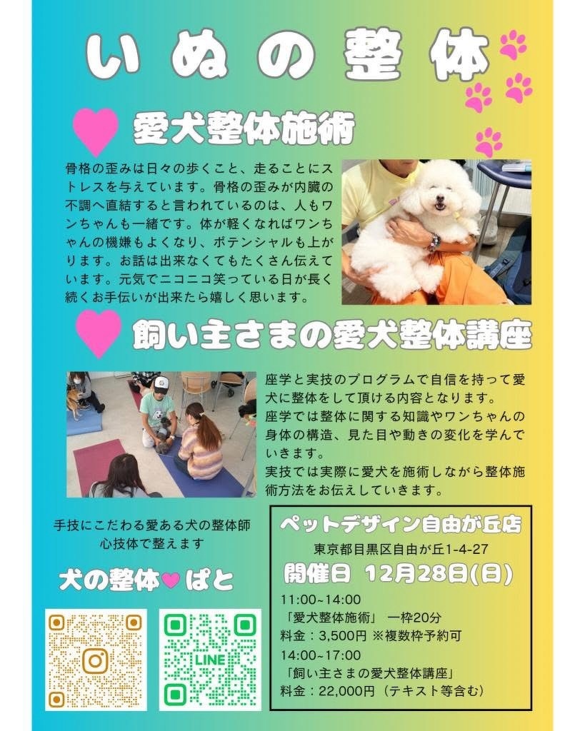 ※いぬ様専門ページ いぬの整体・整体講座 PET DESIGN自由が丘 | お知らせ | PET DESIGN